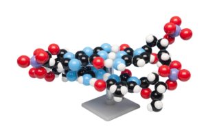 MKS-122/2 Kit per modello del DNA