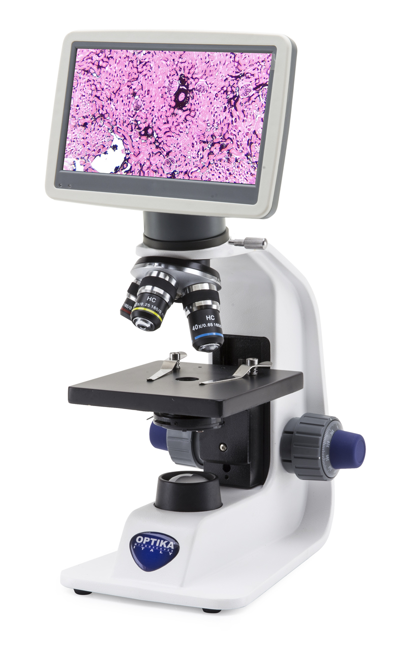 Set di vetrini preparati per microscopi